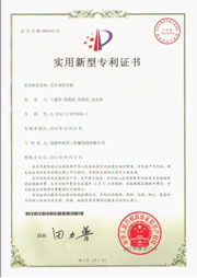 Letter of Patent